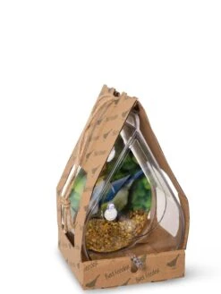 Dewdrop Window Bird Feeder -Outdoor Garden Care 8609061 4444 tif