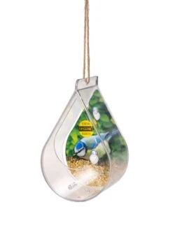 Dewdrop Window Bird Feeder -Outdoor Garden Care 8609061 4447 tif