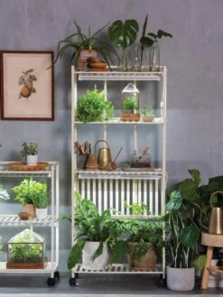 Oslo 4-Tier LED Grow Light Garden -Outdoor Garden Care 8609188 4118 tif