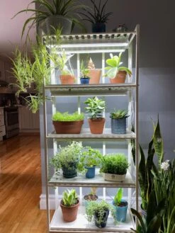 Oslo 4-Tier LED Grow Light Garden -Outdoor Garden Care 8609220 03IN tif