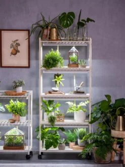 Oslo 4-Tier LED Grow Light Garden -Outdoor Garden Care 8609220 4116 tif