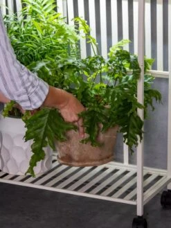 Oslo 2-Tier LED Grow Light Garden, 2 Fixtures -Outdoor Garden Care 8609220 4122 tif