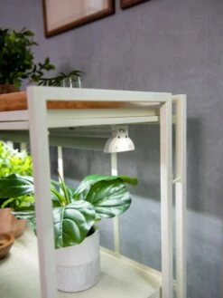 Oslo 2-Tier LED Grow Light Garden, 2 Fixtures -Outdoor Garden Care 8609221 4101 tif