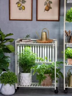 Oslo 2-Tier LED Grow Light Garden, 2 Fixtures -Outdoor Garden Care 8609221 7236 tif