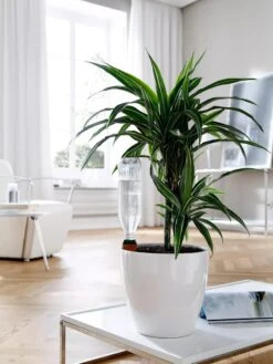 Hydro Wine Container Watering System, Set Of 4 -Outdoor Garden Care 8609224 02V tif