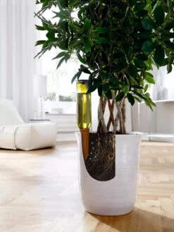 Hydro Wine Container Watering System, Set Of 4 -Outdoor Garden Care 8609224 04V tif