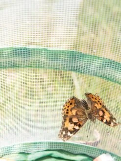 Butterfly Garden® Kit With Voucher -Outdoor Garden Care 8609265 6288 tif