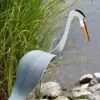 Florida Dancing Birds®, Great Blue Heron -Outdoor Garden Care 8609451 02V jpg