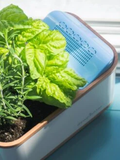 Dewplanter 10 Dewplanter -Outdoor Garden Care 8609512 04V