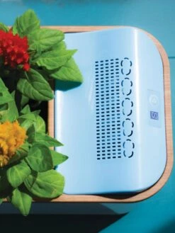 Dewplanter 9 Dewplanter -Outdoor Garden Care 8609512 Dewplanter