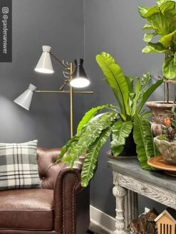 Adjustable 3-Arm Grow Lamp -Outdoor Garden Care 8609868 01IN tif