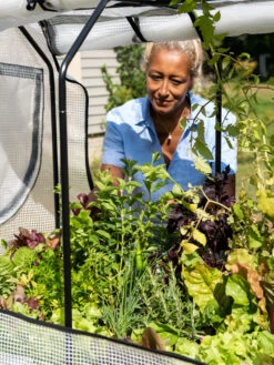 VegTrug®Patio Garden Greenhouse Cover Kit 13 VegTrug®Patio Garden Greenhouse Cover Kit -Outdoor Garden Care 8610172 1256