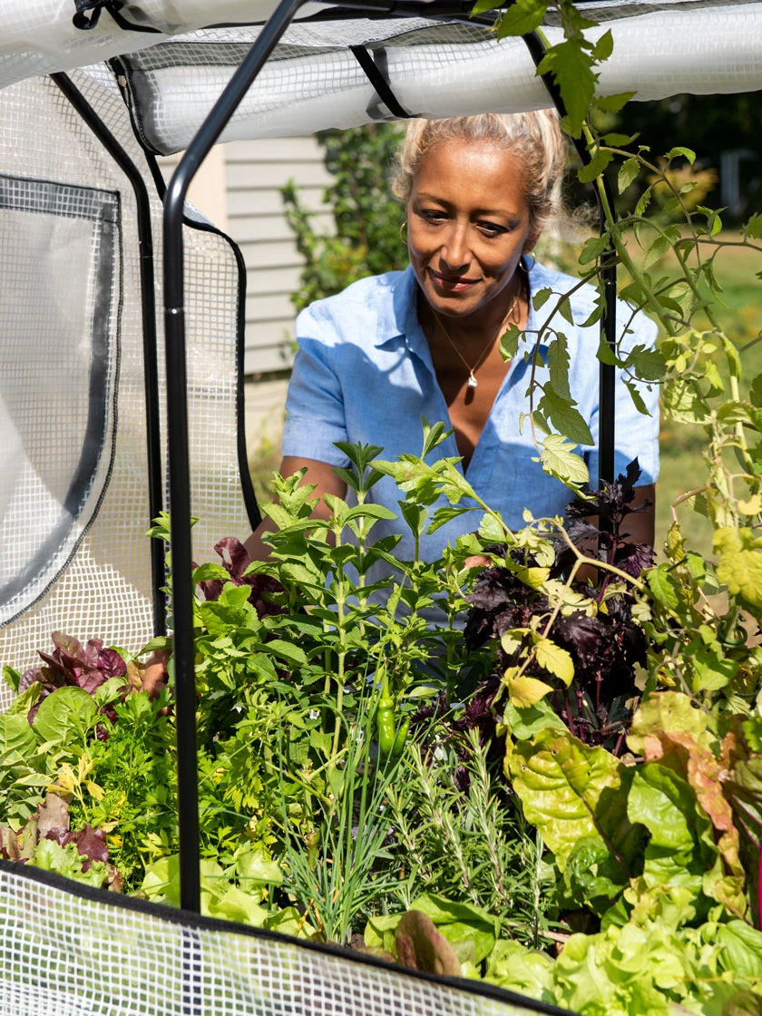 VegTrug®Patio Garden Greenhouse Cover Kit 5 VegTrug®Patio Garden Greenhouse Cover Kit - Image 3