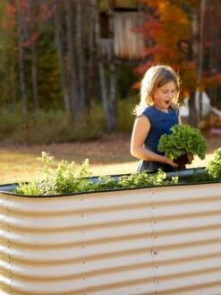 Birdies™ Modular Metal Raised Bed, Tall -Outdoor Garden Care 8610174 5015 tif