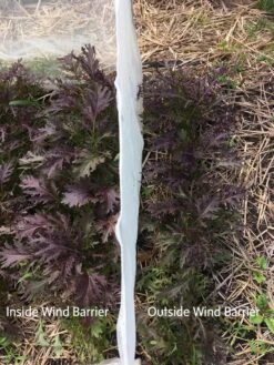 Wind Screen -Outdoor Garden Care 8610175 1245 tif