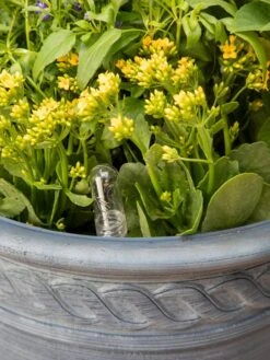 Adjustable Self-Watering Insert For Pots And Planters -Outdoor Garden Care 8610250 0010 tif