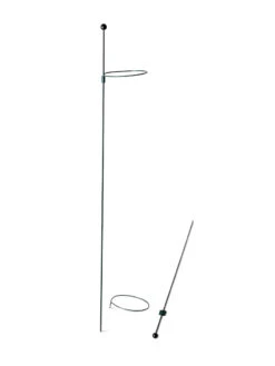 Peacock Mini Plant Support Rings 4", Set Of 2 -Outdoor Garden Care 8610386 9566