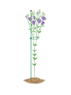 Peacock Mini Plant Support Rings 4", Set Of 2 -Outdoor Garden Care 8610386 peacock4x36