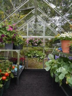 Canopia® By Palram Harmony™ Greenhouse, 6' X 14' 13 Canopia® By Palram Harmony™ Greenhouse, 6' X 14' -Outdoor Garden Care 8610563 03V jpg