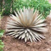 Desert Steel Yucca Plant Sculpture -Outdoor Garden Care 8610744 03v desert steel yucca plant