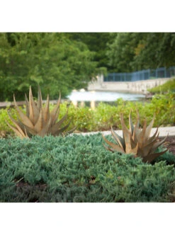 Desert Steel Sharkskin Agave Sculpture -Outdoor Garden Care 8610753 05v