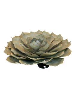 Desert Steel Blue Rose Succulent Sculpture -Outdoor Garden Care 8610765 01v desert steel blue rose succulent medium