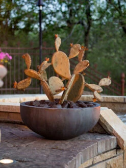 Desert Steel Prickly Pear Cactus Sculpture, Redondo 8 Desert Steel Prickly Pear Cactus Sculpture, Redondo -Outdoor Garden Care 8610768 03v