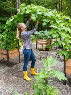 2’ X 8’ Arch Trellis For Planter Boxes -Outdoor Garden Care 8610798 050 tif