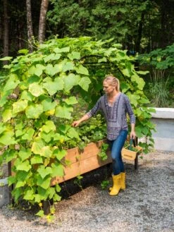 Outdoor Garden Care -Outdoor Garden Care 8610798 062 tif