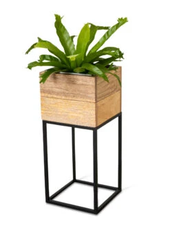 Tartu Elevated Square Planters 20 Tartu Elevated Square Planters -Outdoor Garden Care 8611005 036