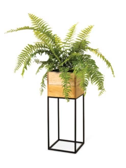 Tartu Elevated Square Planters 18 Tartu Elevated Square Planters -Outdoor Garden Care 8611006 033