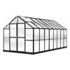 MONT Growers Edition Greenhouse, 8' X 16' -Outdoor Garden Care 8611196 mont 16 grower black
