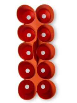 Sili-Seedlings® Seedling Tray, 10-Cell -Outdoor Garden Care 8611886 3821 tif