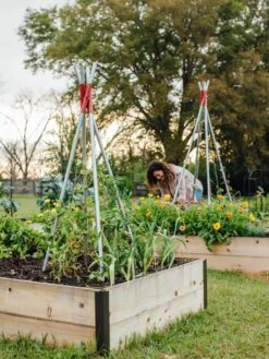 DIY Connector For Teepee Trellis -Outdoor Garden Care 8611896 38 tif