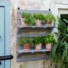 VegTrug® Herb Rack 2 VegTrug® Herb Rack -Outdoor Garden Care 8611930 6402 tif
