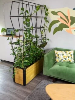 Self-Watering Partition Planter -Outdoor Garden Care 8611952 001 tif