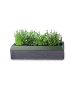 Provence Self-Watering Herb Planter -Outdoor Garden Care 8611965 03V tif
