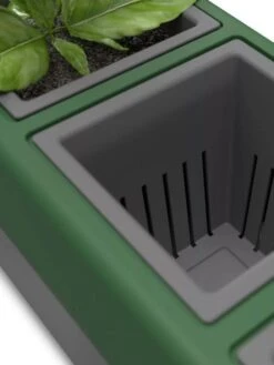 Provence Self-Watering Herb Planter -Outdoor Garden Care 8611965 06V tif