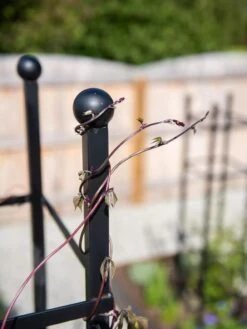 Essex Square Obelisk -Outdoor Garden Care 8611984 278 tif