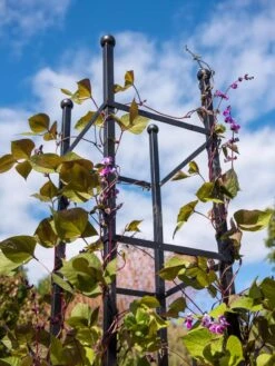 Essex Square Obelisk -Outdoor Garden Care 8611984 354 tif