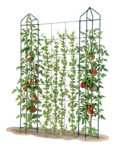 Zenith Trellis -Outdoor Garden Care 8612036 art tif
