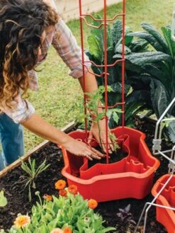 Deluxe Tomato Halos, Set Of 2 -Outdoor Garden Care 8612045 135 tif