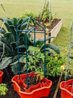 Deluxe Tomato Halos, Set Of 2 -Outdoor Garden Care 8612045 221 tif