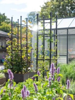 Outdoor Garden Care 5 Outdoor Garden Care -Outdoor Garden Care 8612046 346 tif