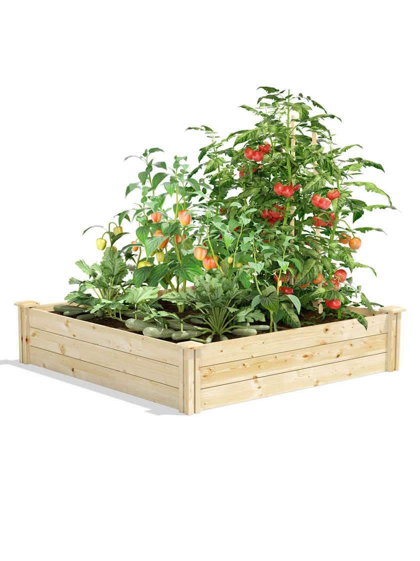 Pine Raised Garden Beds, 4'x4' 6 Pine Raised Garden Beds, 4'x4' - Image 4