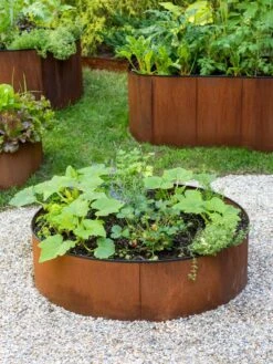 Birdies™ Corten Steel Round Raised Beds -Outdoor Garden Care 8612422 1527 tif