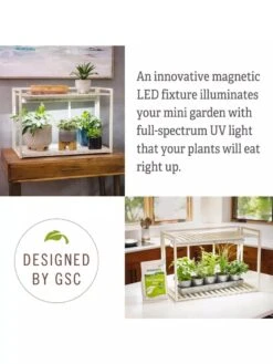 Tabletop Grow Kit -Outdoor Garden Care 8612507 4