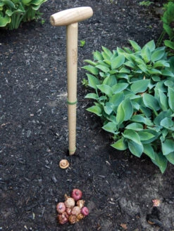 Wicked Big Dibber -Outdoor Garden Care 8612667 0028