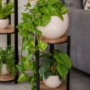 Double Tower Plant Stand -Outdoor Garden Care 8612683 2228 double tower plant stand