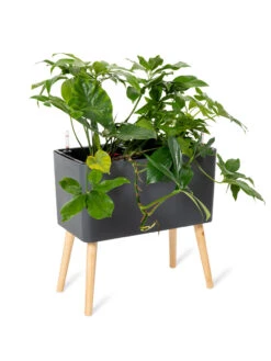 Ava Self-Watering Rectangular Planter -Outdoor Garden Care 8612691 0013